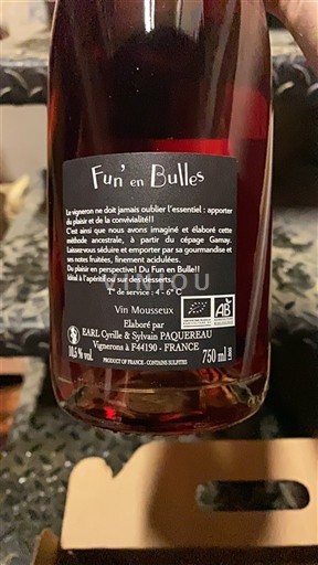 Valle della Loira EARL Cyrille & Sylvain Pasquereau Fun'en Bulles Senza annata