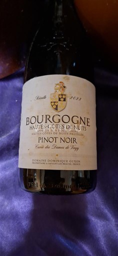 Borgonha Não especificado Domaine Dominique Guyon des Dames de Vergy 2022