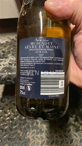Loire Valley Muscadet Sèvre et Maine Oude Loire 2023