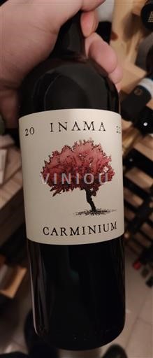 Vénétie Colli Berici Inama Carminium 2021