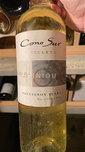 Valle del Maipo Maipo Central Cono Sur Bicicleta 2013