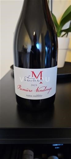 Loire Valley Unspecified Louis-Antoine Marioni Marionnet Première Vendange 2023