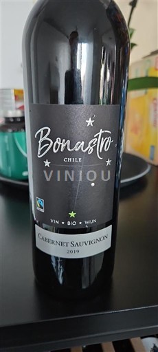 Долина Майпо Маїпо Сентраль Bonastro 2019