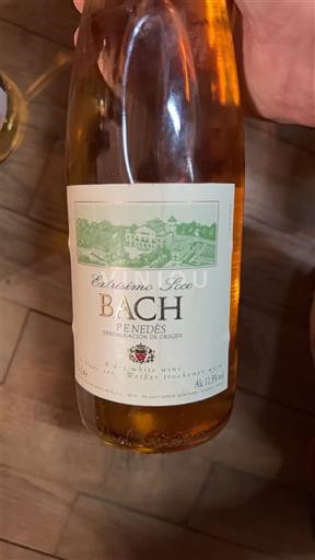 Katalonija Penedès Bach Extísimo Seco Neleten.