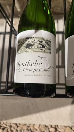 Bourgogne Premier Cru Domaine Roulot 1er Cru Champs Fulliot 2023