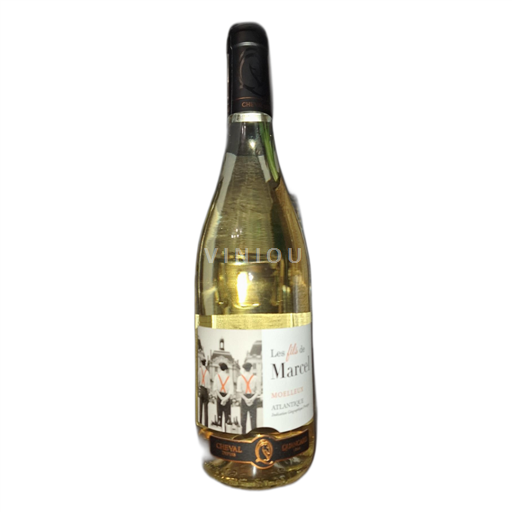 Akvitánie a Charentes Atlantique Les fils de Marcel 2023