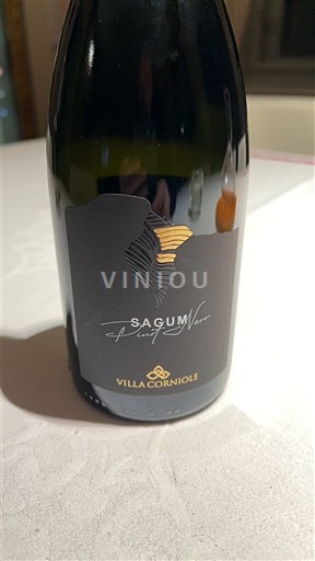 Trentino-Alto Adige Teroldego Rotaliano. Villa Corniole Sagum Pinot Noir Sin añada