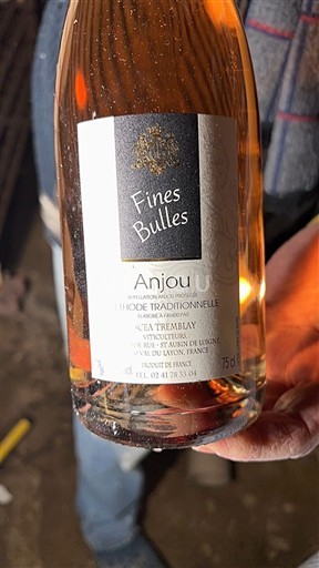 Vallée de la Loire Anjou Earl Tremblay Fines Bulles Non Millésimé