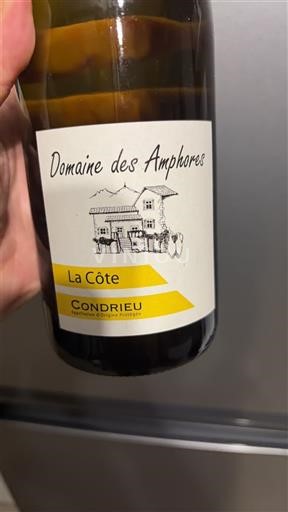 Rhône Valley Condrieu Domaine S Amphores La Côte 2023