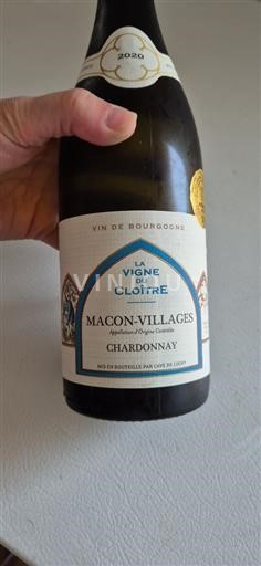 Burgund Mâcon und Mâcon-Dörfer Cave de Lugny La Vigne du Cloître 2020
