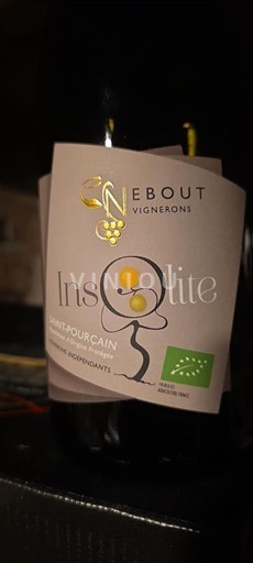 Vallée de la Loire Saint-Pourçain Nebout Vignerons Insolite 2024