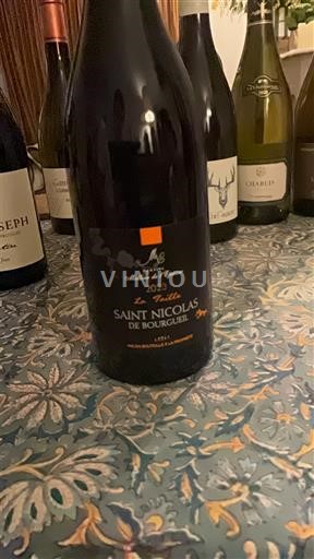 Valle della Loira Saint-Nicolas-De-Bourgueil Maison de la Vigne Le Nité 2023