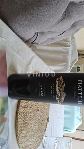 Salta The Calchaquí Valleys Piattelli Vineyards 2024