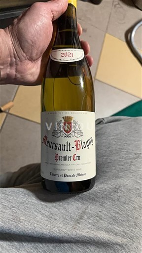 Bourgogne Ikke specificeret Premier Cru Thierry et Pascale Matrot 2021