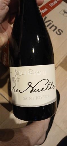 Rhône Valley Saint-Joseph Richard Les Buelles 2017