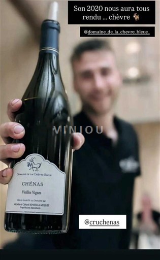 Beaujolais Chénas Domaine La Chèvre Bleue Vieilles Vignes 2020