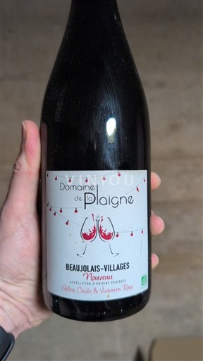 Beaujolais Beaujolais Villages Domaine Plaigne Nouveau Não Sazonado