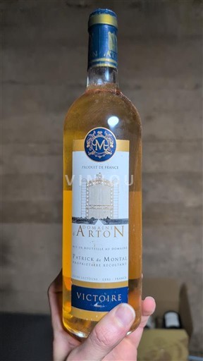 Sudoeste Côtes de Gascogne Domaine Arton Victoire Não Sazonado