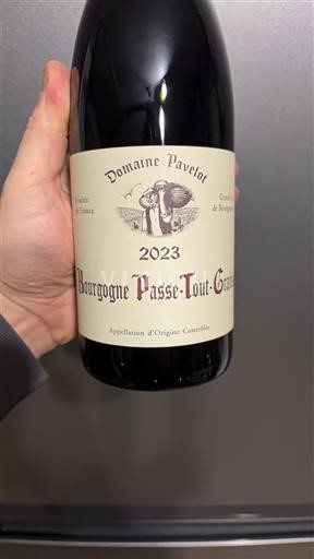 Borgogna Borgogna-passetoutgrain Domaine Pavelot 2023