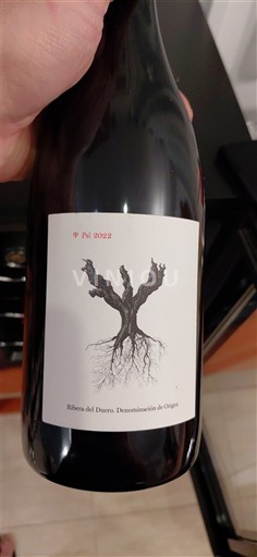 Castilië en León Ribera del Duero Bodegas y Viñedos Alnardo (Peter Sisseck) Psi 2022