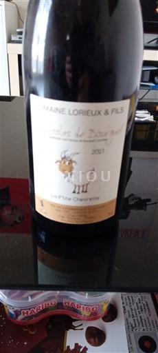 Valle della Loira Saint-Nicolas-De-Bourgueil Domaine Lorieux & Fils Le P'tite Chevrette 2021