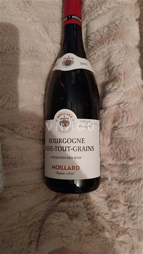 Borgogna Borgogna-passetoutgrain Moillard Arômes des Bois 2022