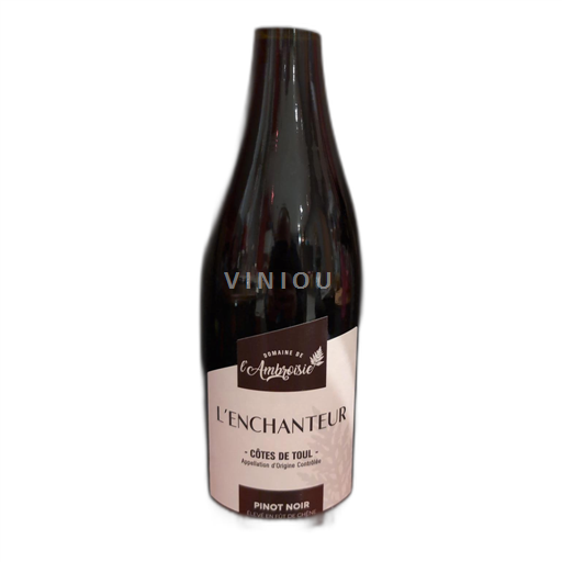 Lothringen Côtes-de-toul Domaine de l'Ambroisie L'Enchanteur 2022