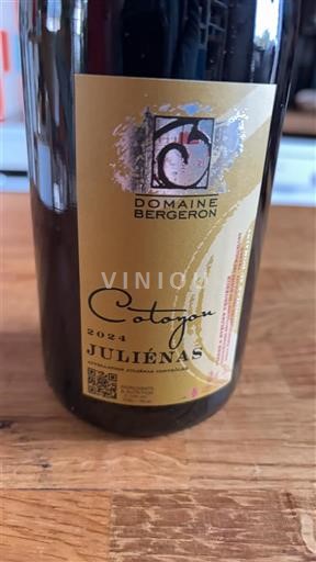 Beaujolais Juliénas Domaine Bergeron Cotoyou 2024