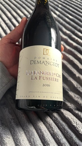 Borgonha Não especificado Premier Cru Domaine Mangeot La Fussière 2016