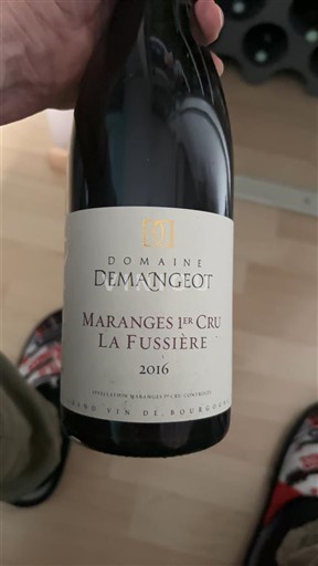 Borgonha Não especificado Premier Cru Domaine Mangeot La Fussière 2016