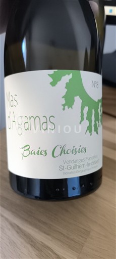 Languedoc und Roussillon Saint-Guilhem-le-Désert Mas d'Agamas Baies Choisies Ohne Jahrgang