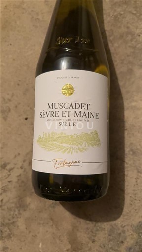 Loire Valley Muscadet Sèvre et Maine Tartugue Non-Vintage
