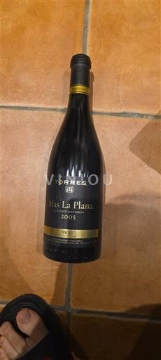 Catalunha Penedès Torres Mas La Plana 2005