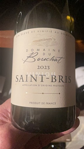 Burgundy Saint-Bris Domaine Bourchat 2023