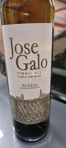 Castilië en León Rueda Jose Galo Verdejo Vendimia Seleccionada 2024