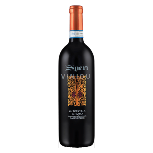 Vénétie Valpolicella Ripasso Speri Non Millésimé