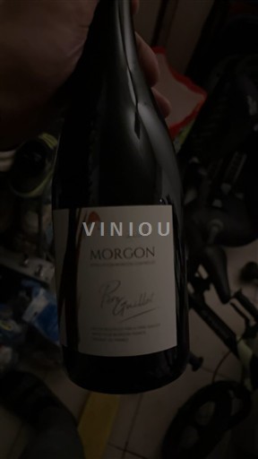 Beaujolais Morgon Jean-Pierre Guillard Ikke årgangsbestemt