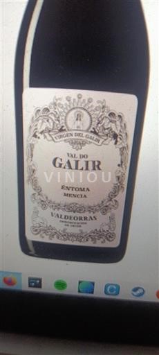 Galiza Valdeorras Virgen del Galir Éntoma 2022