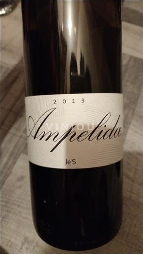 Thung lũng sông Loire Allier Ampelida le S 2019