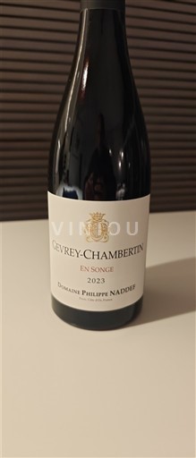 Bourgondië Gevrey-Chambertin Domaine Philippe Naddef En Songe 2023