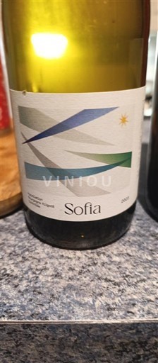 Bourgogne Bourgogne-aligoté Bruno Verret Sofia 2023