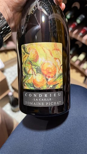 Valle del Rodano Condrieu Domaine Pichat La Caille 2024