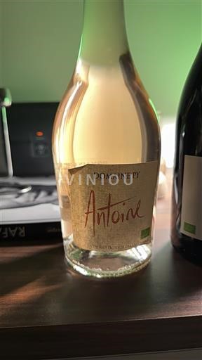 Languedoc Corbières Domaine Py Antoine 2024