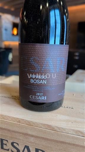 Vénétie Valpolicella Ripasso Cesari Bosan 2017