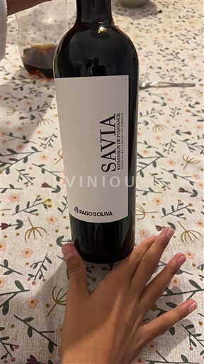 Castilië-La Mancha Niet gespecificeerd Pago Oliva Savia 2020