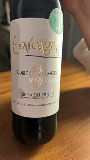 Castilië en León Ribera del Duero Garagato Roble 9 Meses 2023