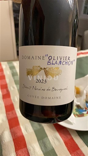 Valle della Loira Saint-Nicolas-De-Bourgueil Domaine Olivier Blanchon Domaine 2023