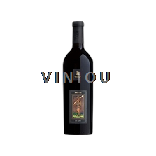 Valle del Rodano Non specificato Xavier Vignon Arcane XV 2015