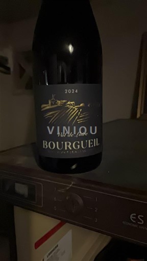 Dolina Loare Bourgueil Sans 2024