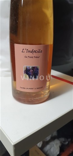 Thung lũng sông Loire Không được chỉ định Famille Laurent L'Indocile (Le Petit Frère) 2009